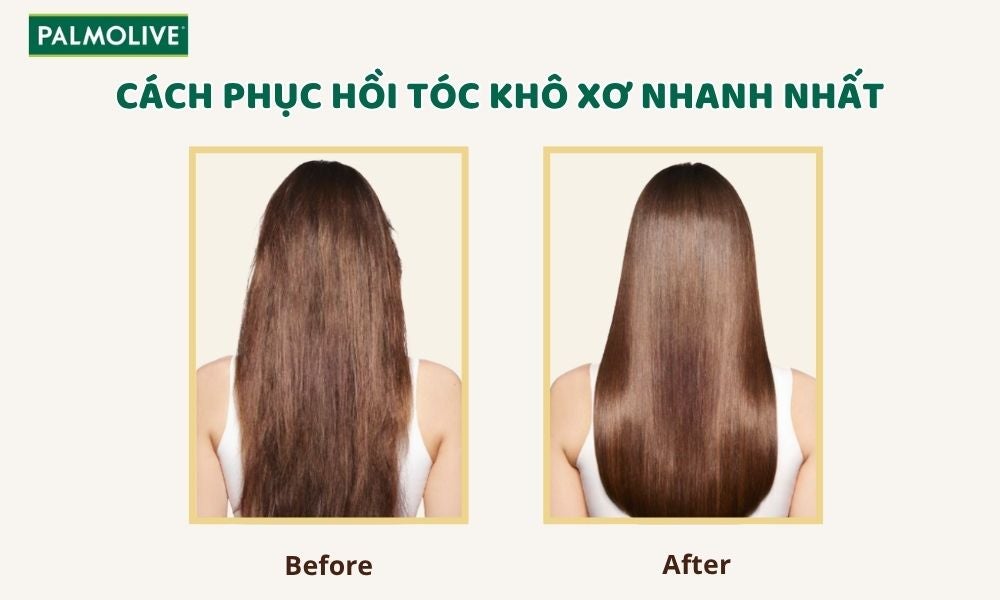 Pal_Thumbnail - fastest-way-to-repair-dry-damaged-hair