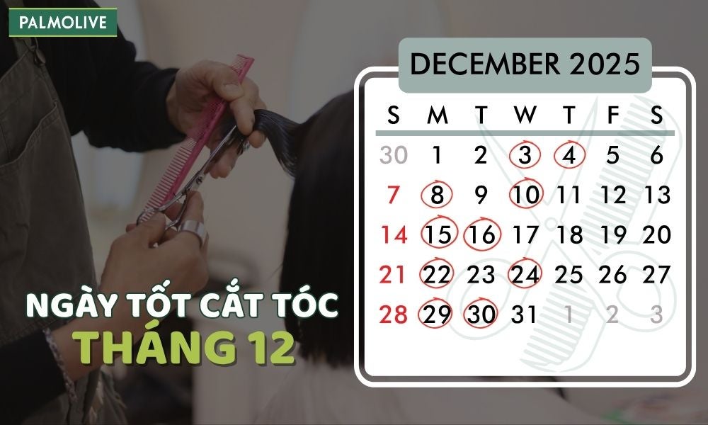 Palmolive - Chính - good-days-to-cut-hair-in-december-2025
