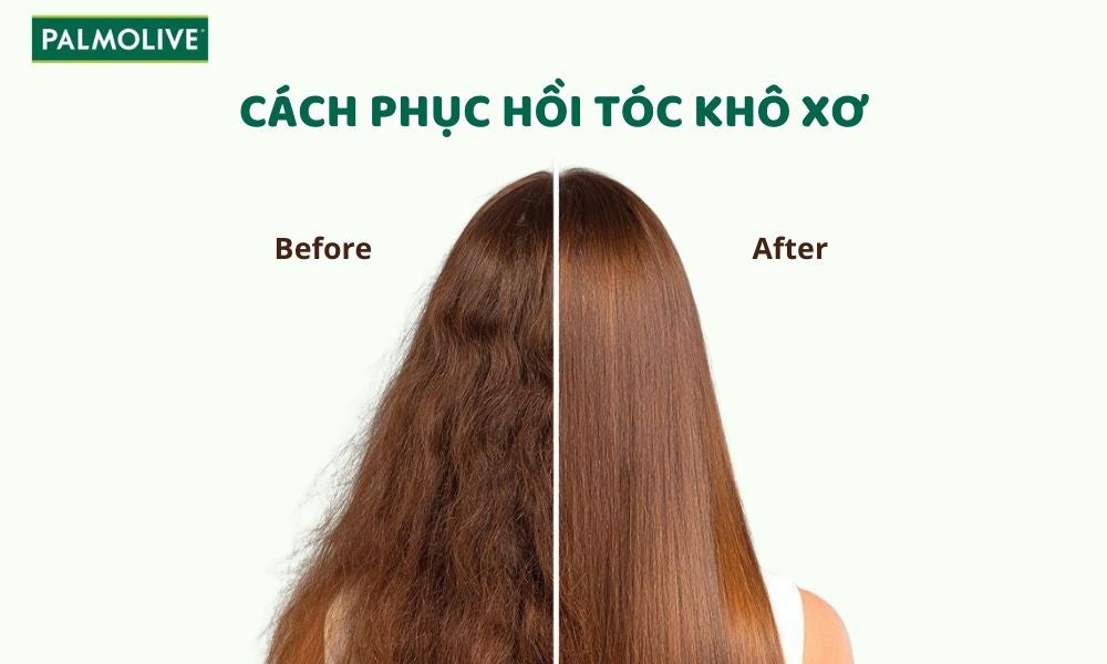 Pal_Thumbnail - how-to-fix-dry-damaged-hair