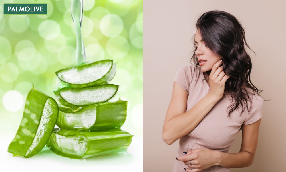 Hỗn hợp nha đam và sữa chua có khả năng kiểm soát dầu thừa, giúp tóc bồng bềnh tự nhiên