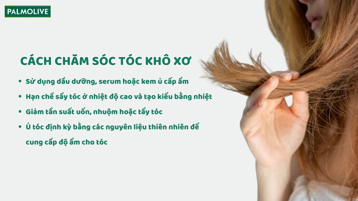 Hướng dẫn cách chăm sóc tóc khô xơ 