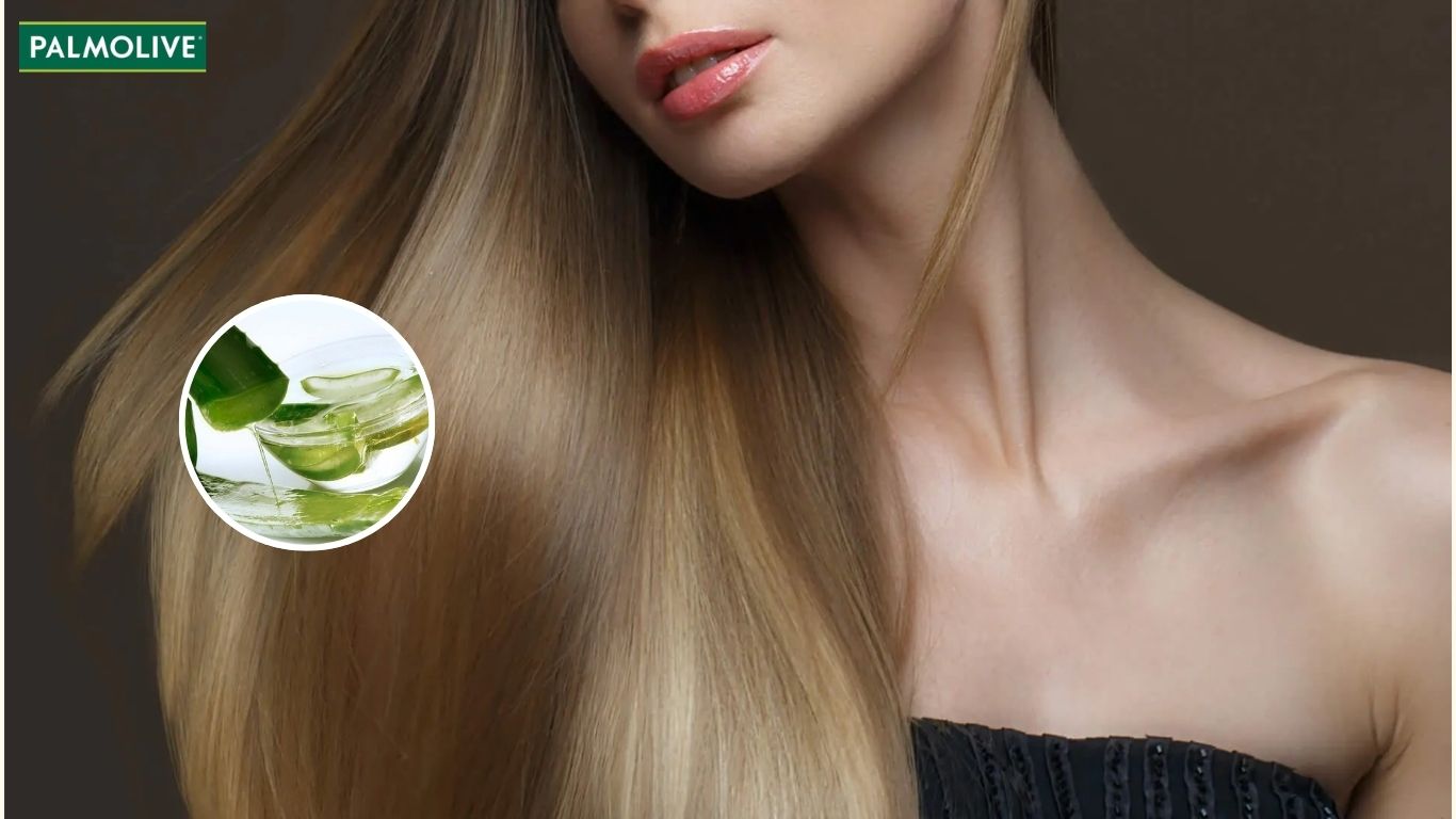 Hướng dẫn cách làm tóc mượt bằng cách ủ tóc bằng nha đam