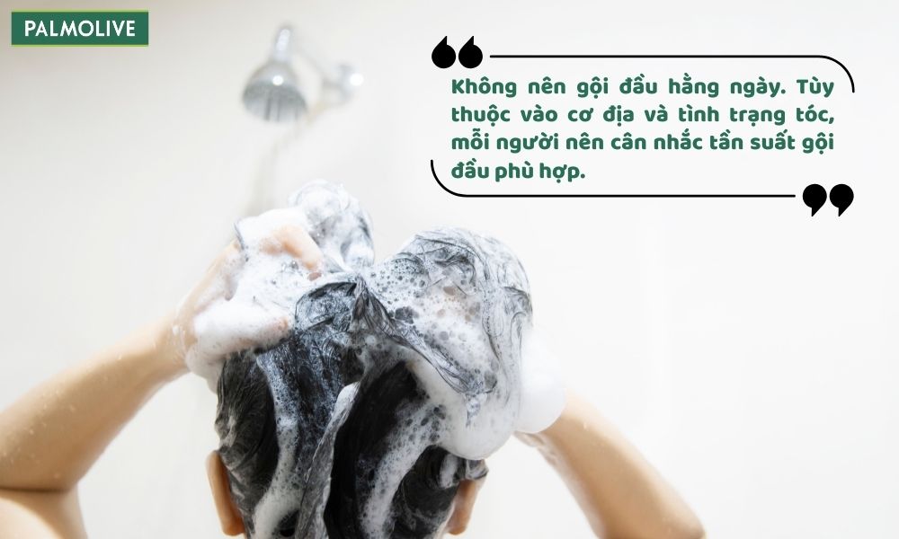 Gội đầu hàng ngày làm mất lớp dầu tự nhiên của tóc, khiến tóc dễ bị khô xơ