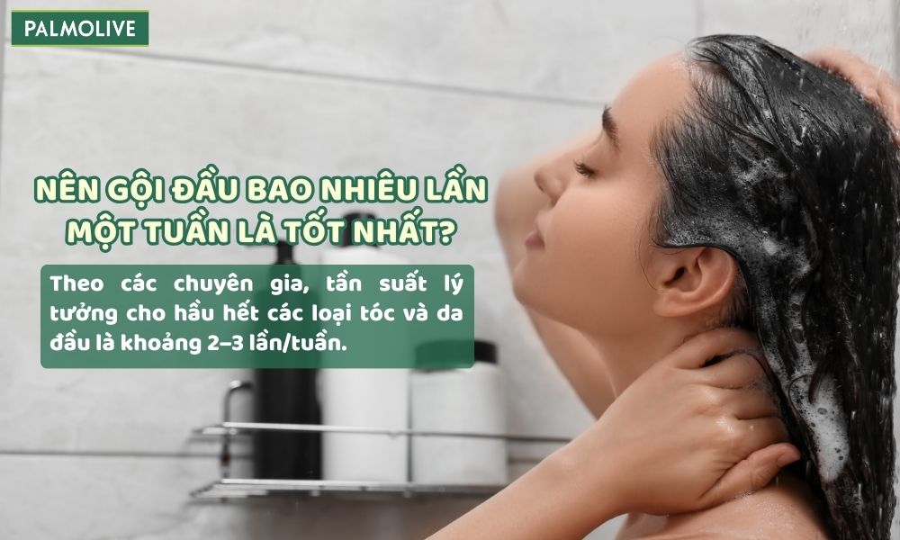 Nên gội đầu khoảng 2-3 lần mỗi tuần để giữ cho tóc và da đầu sạch sẽ
