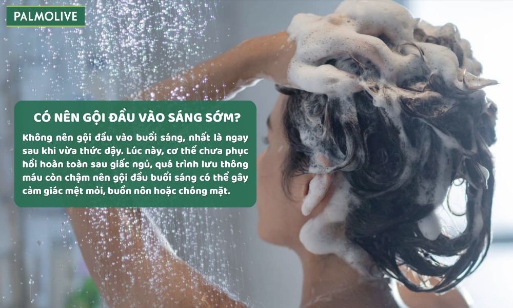 Gội đầu buổi sáng có tốt không