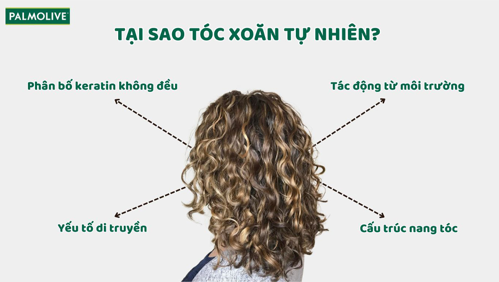 Nguyên nhân tóc xoăn tự nhiên do keratin, di truyền và cấu trúc nang tóc