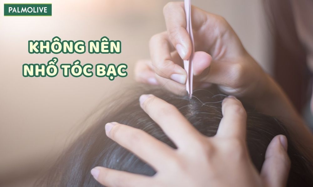 Không nên nhổ tóc bạc vì việc này có thể gây hại đến nang tóc 