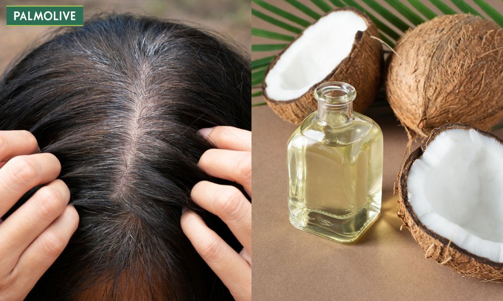 Ủ tóc bằng dầu dừa là phương pháp cải thiện sắc tố tóc hiệu quả