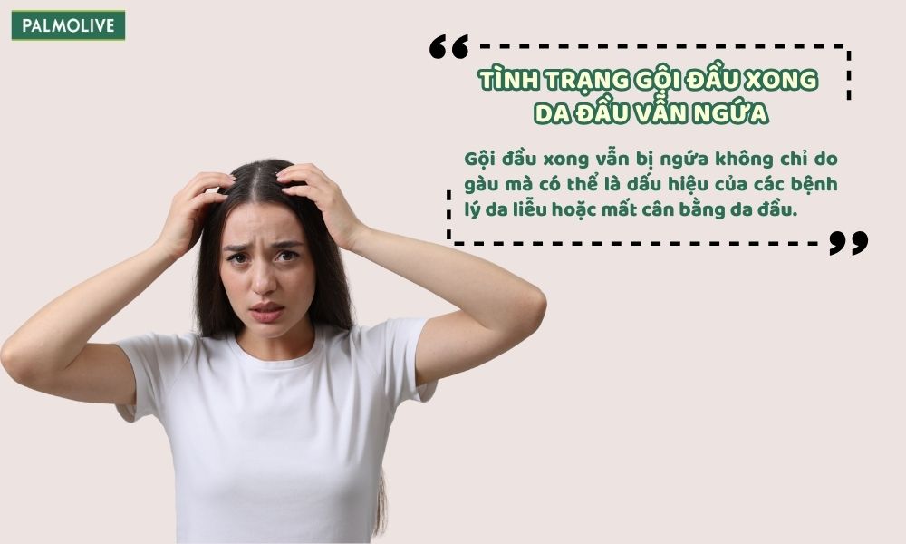 Gội đầu xong vẫn ngứa có thể xuất phát từ gàu, bệnh lý da đầu và thói quen chăm sóc tóc