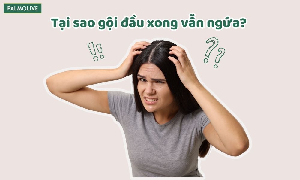 13 Nguyên Nhân Tại Sao Gội Đầu Xong Vẫn Ngứa Và Cách Khắc Phục Hiệu Quả