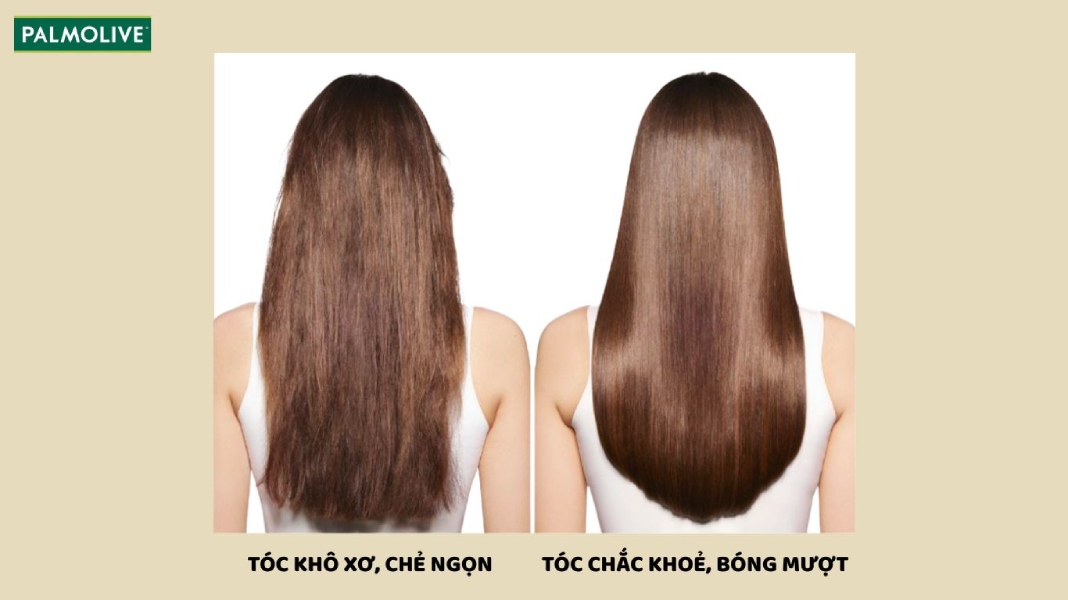 Tóc khô xơ và tóc bóng mượt, chắc khoẻ