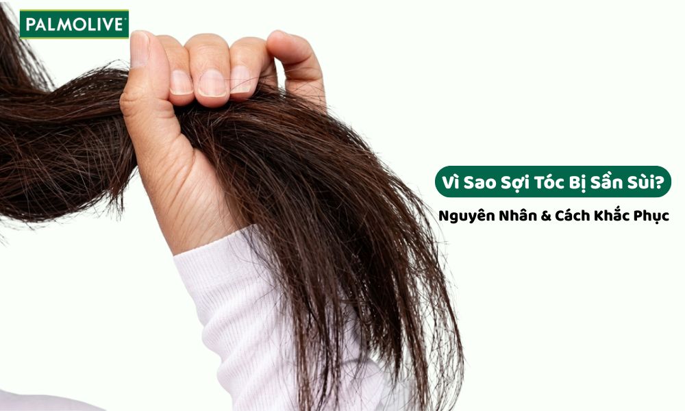 Vì Sao Sợi Tóc Bị Sần Sùi? Nguyên Nhân & Cách Khắc Phục