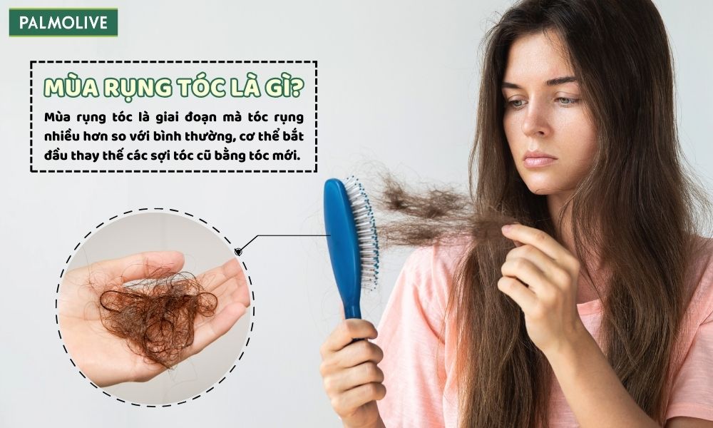 Mùa rụng tóc hiện tượng tự nhiên giúp tóc tái tạo khỏe mạnh hơn