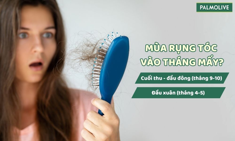 Tóc thường rụng nhiều vào cuối mùa thu, đầu đông và đầu xuân