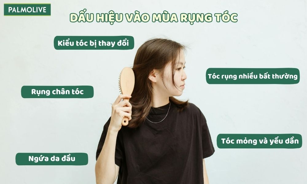 Các dấu hiệu đặc trưng khi vào mùa thay tóc