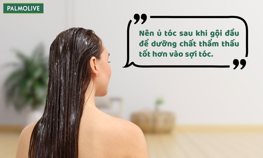 Nên ủ tóc sau khi gội đầu để dưỡng chất thẩm thấu tốt hơn vào sợi tóc.