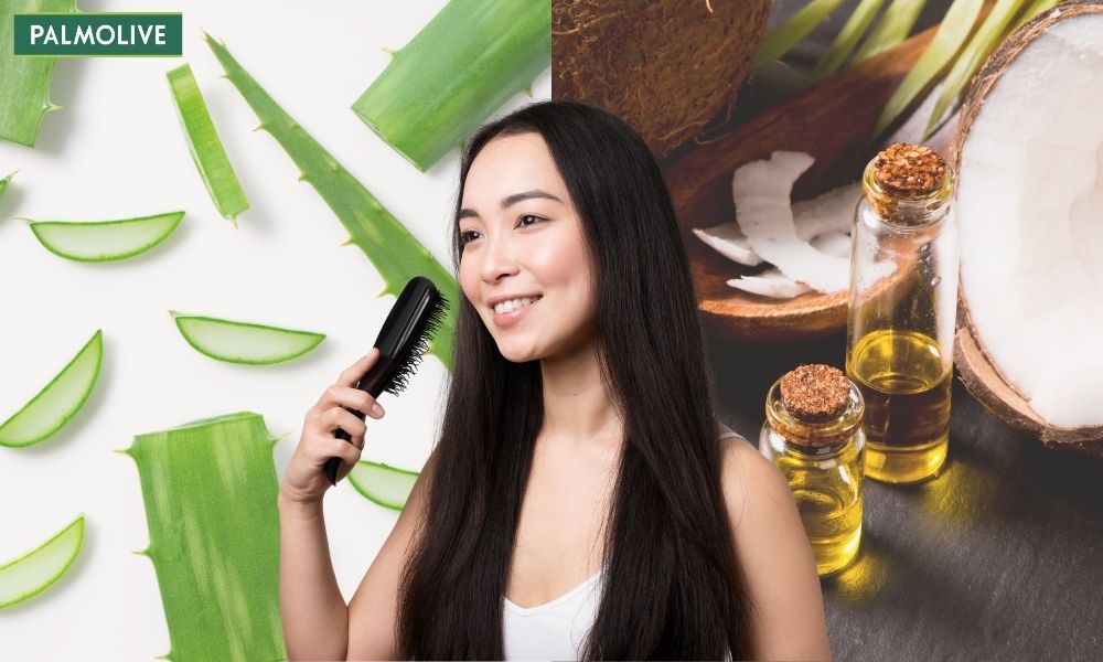 Ủ tóc bằng dầu dừa và nha đam là phương pháp an toàn, lành tính được nhiều người ưa chuộng