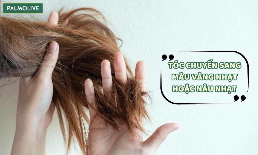 Tóc cháy nắng thường có màu nâu nhạt hoặc vàng nhạt do tia UV phá hủy sắc tố tóc