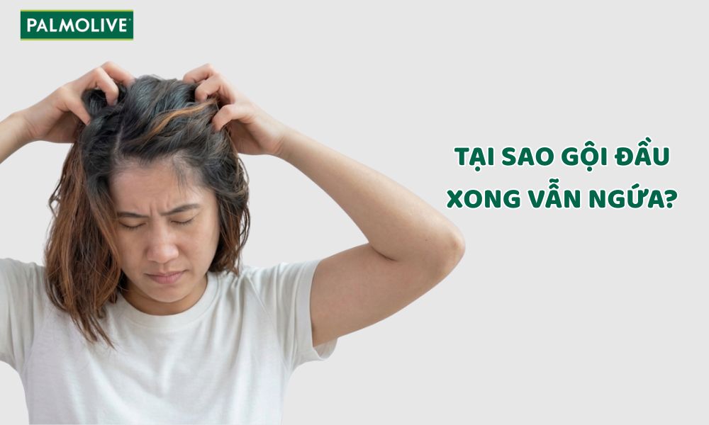 13 Nguyên Nhân Tại Sao Gội Đầu Xong Vẫn Ngứa Và Cách Khắc Phục Hiệu Quả