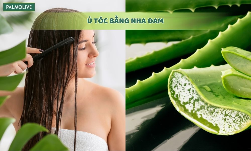 Nha đam có tác dụng làm dịu và cấp ẩm cho da đầu, giúp giảm tình trạng gàu và ngứa