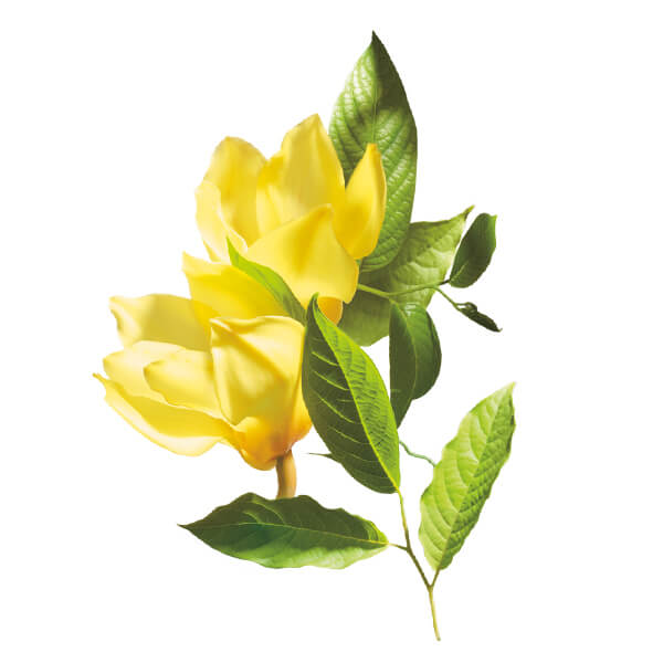 palmolive thiên nhiên ngọc lan tây